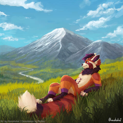Taking in the view