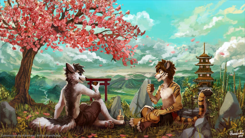 Sakura Flowers and Blue Skies