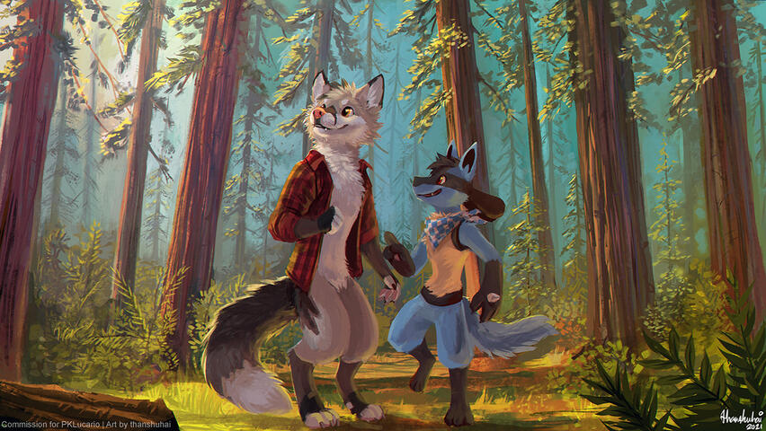 A Redwood Stroll
