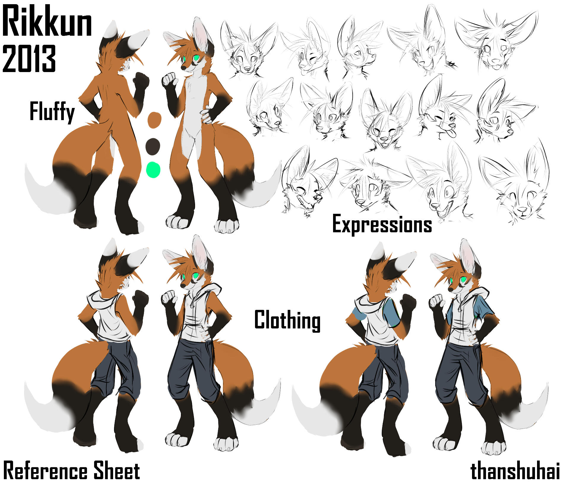 Rikkun 2013 - Reference Sheet