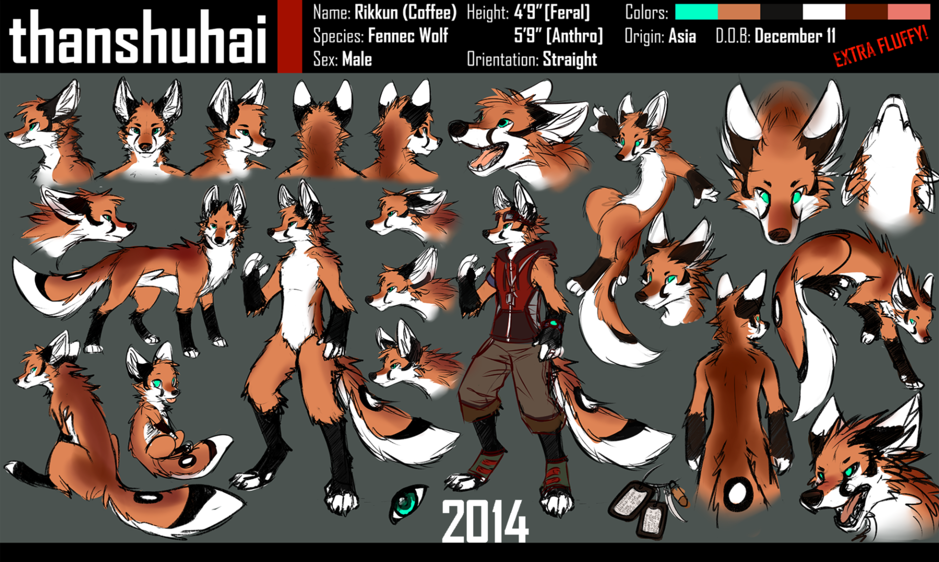 Rikkun 2014 - Reference Sheet