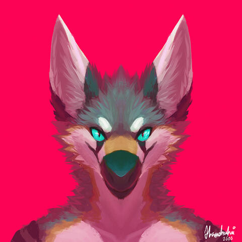 Stare
