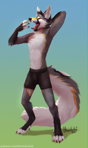 Morning Stretch