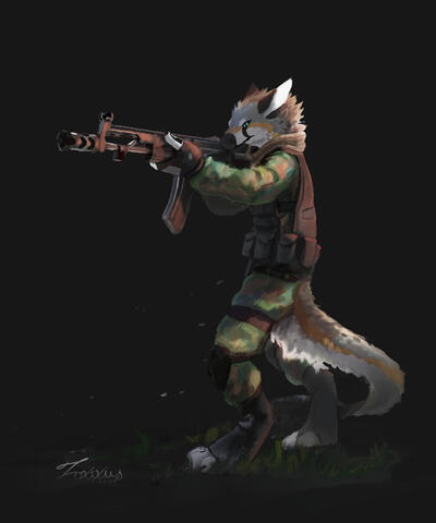 Foxixus 2020