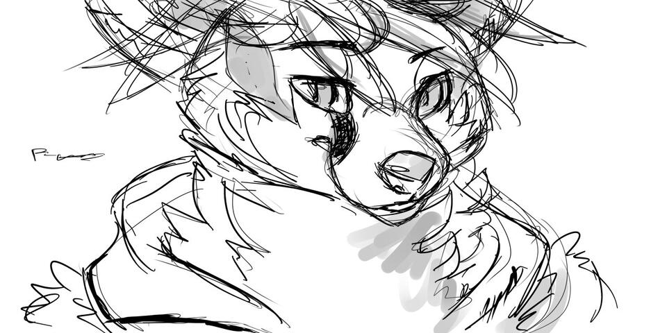 Husky.Tusky 2014