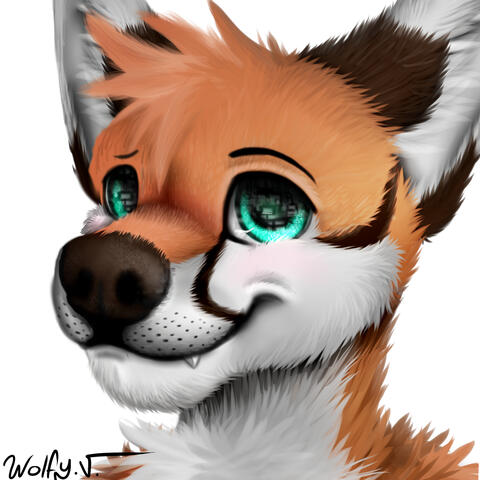 Wolfy_V 2015
