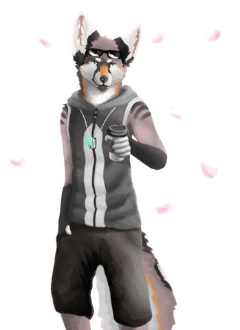 DrawerFoxeh 2017