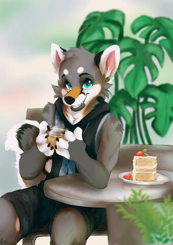 jkcanis_ 2020