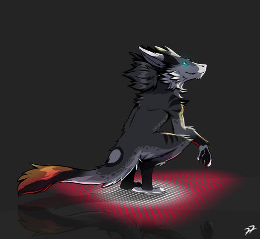 JCanis77 2022
