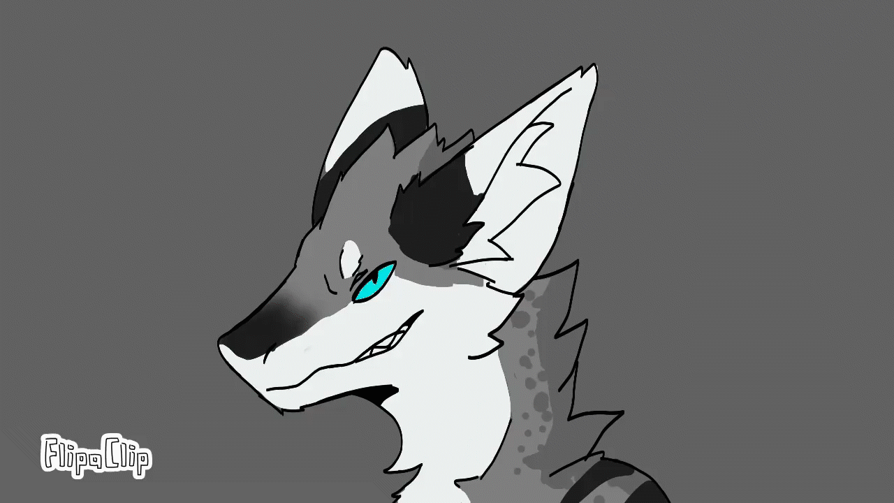 JCanis77 2025