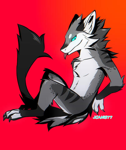 JCanis77 2022