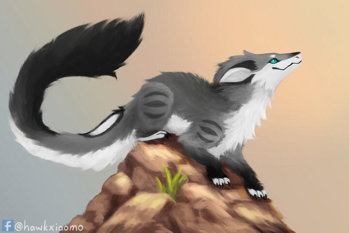 hawkxiaomo 2026